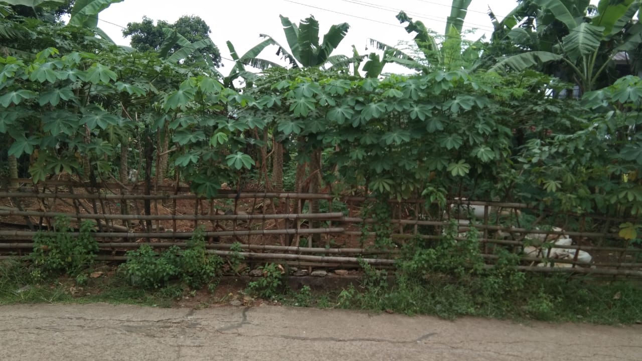 Dijual Tanah Anti Banjir di Bojong Kulur, Bogor